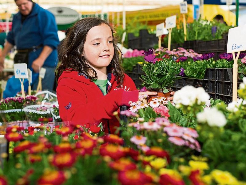 Green Fingers: Limerick Garden Festival blooms