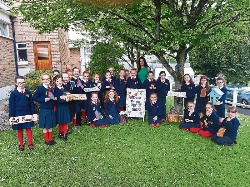 Fairy good idea by Limerick schoolgirls to cultivate garden