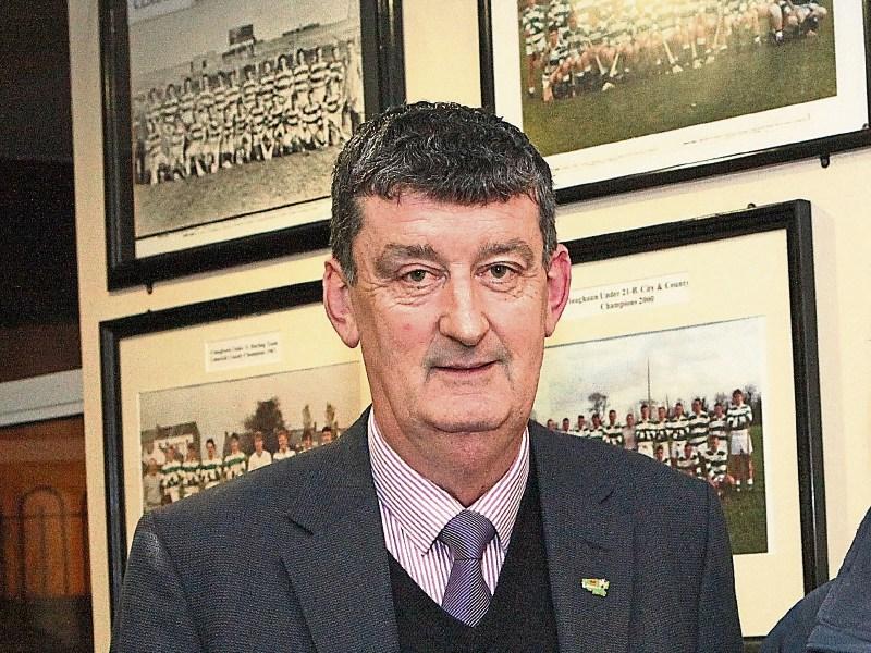 Extra bins at Limerick venue for Munster final