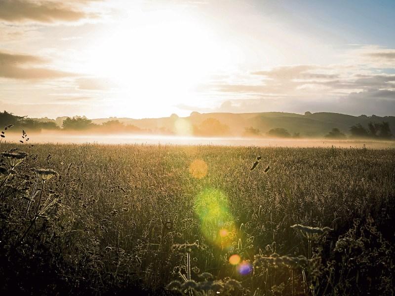 Weather in Limerick for the week ahead Limerick Live