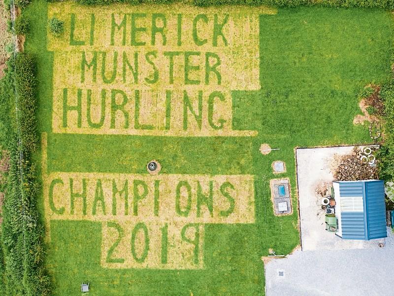 A cut above: Tipp fan salutes Limerick’s Munster win
