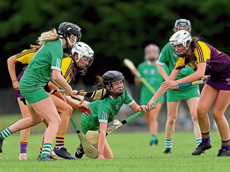 Water quality suspected in illness of camogie players after game in Limerick