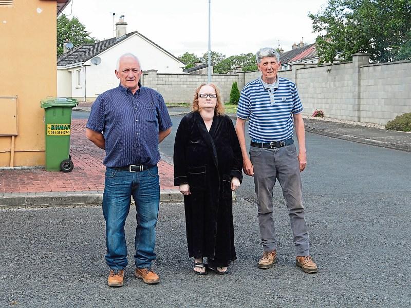 Angry council tenants launch petition to force Limerick council to act