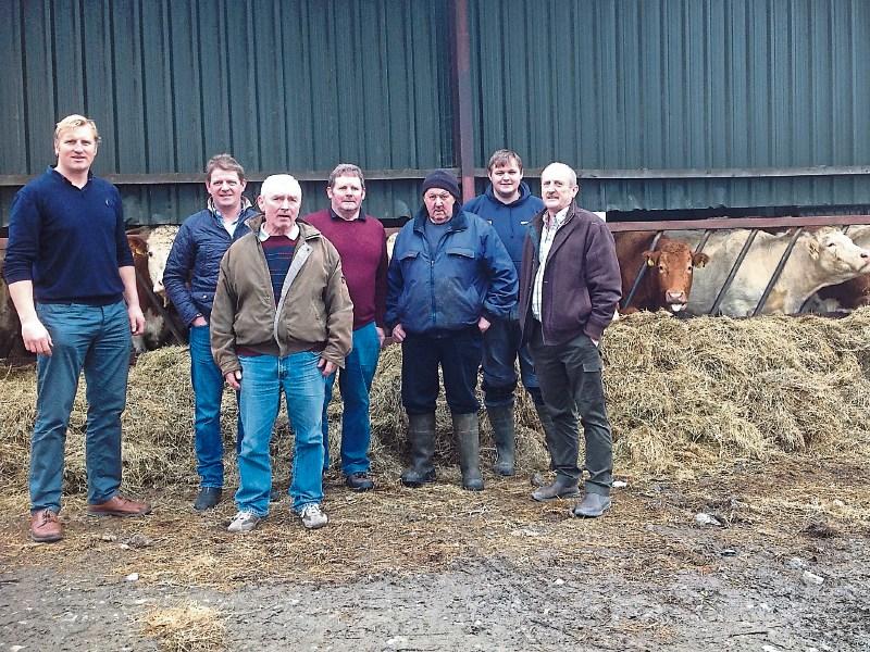 Limerick Beef Plan members call for support for Dail protest