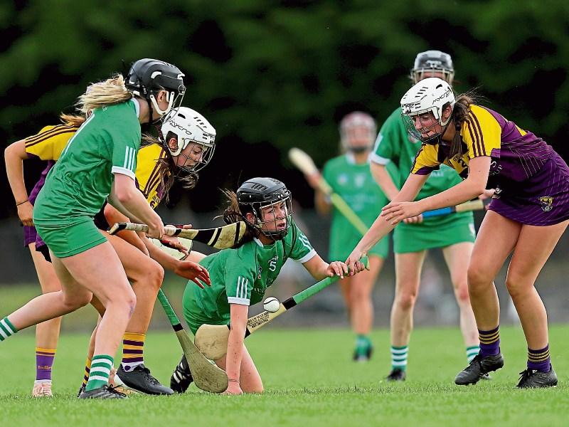 BREAKING: HSE launches investigation into gastro-enteritis outbreak after Limerick camogie matches