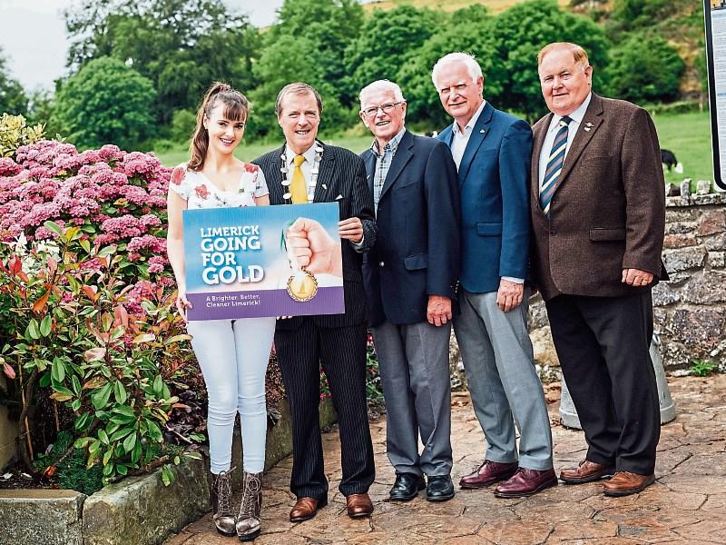 Limerick communities to clean up for Going for Gold