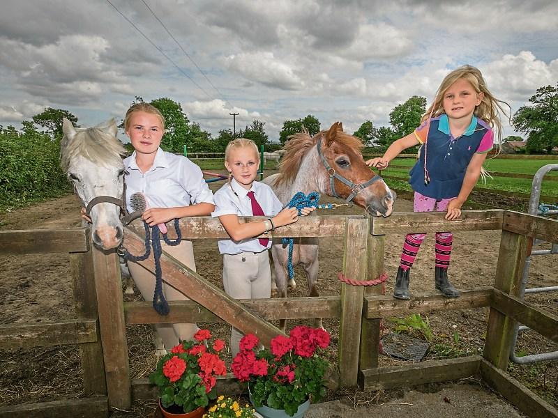 Show the star of active, lively weekend ahead in  Limerick