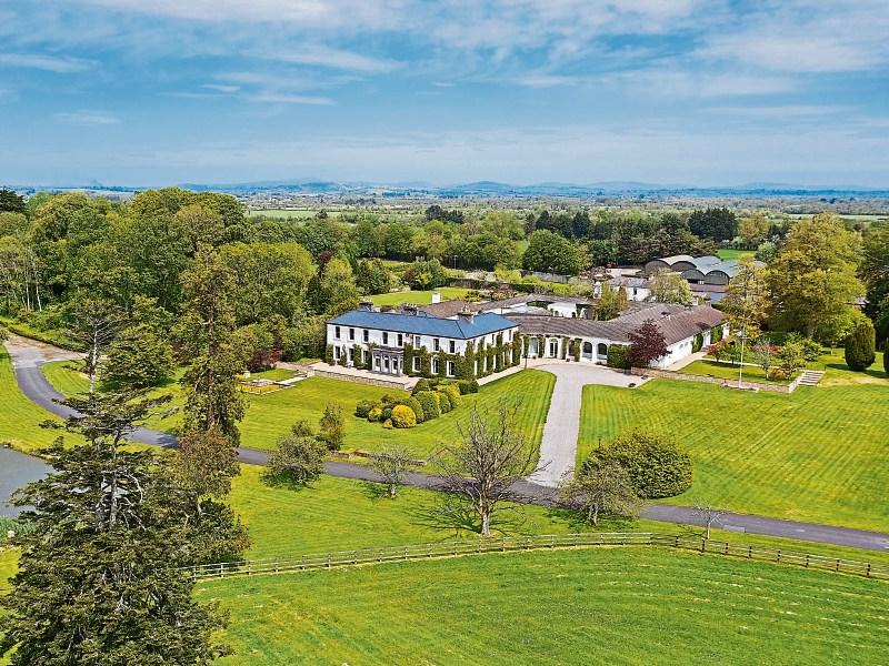 County Limerick stud farm continues to attract interest of international set