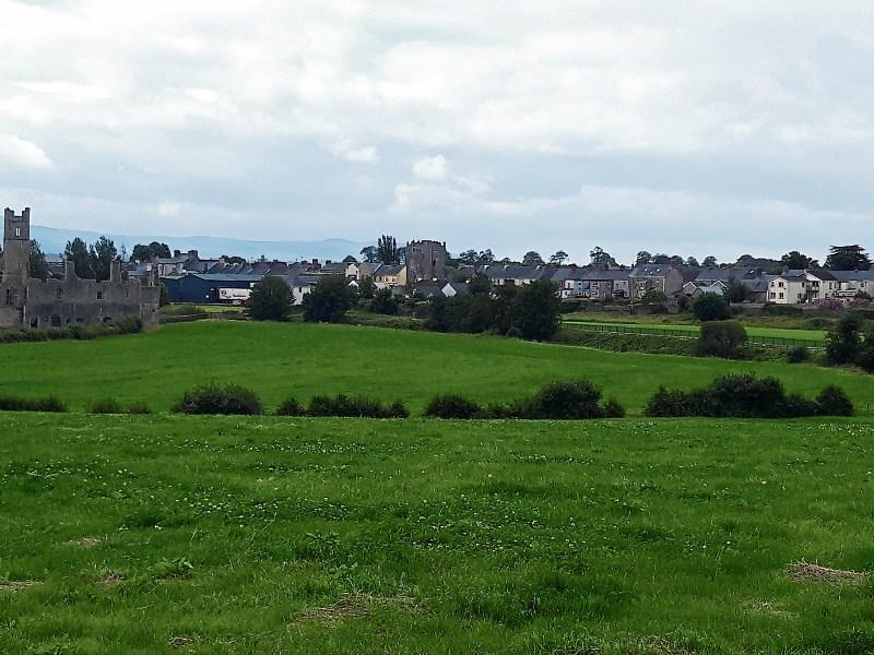 Councillors clear way for pitch beside 700-year-old priory in Limerick town