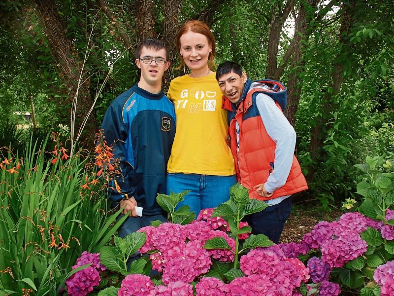 Community:Sensory garden brings out the best in Limerick neighbourhood