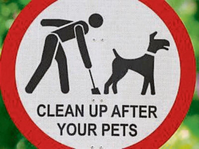Fines for dog fouling in Limerick remain unpaid