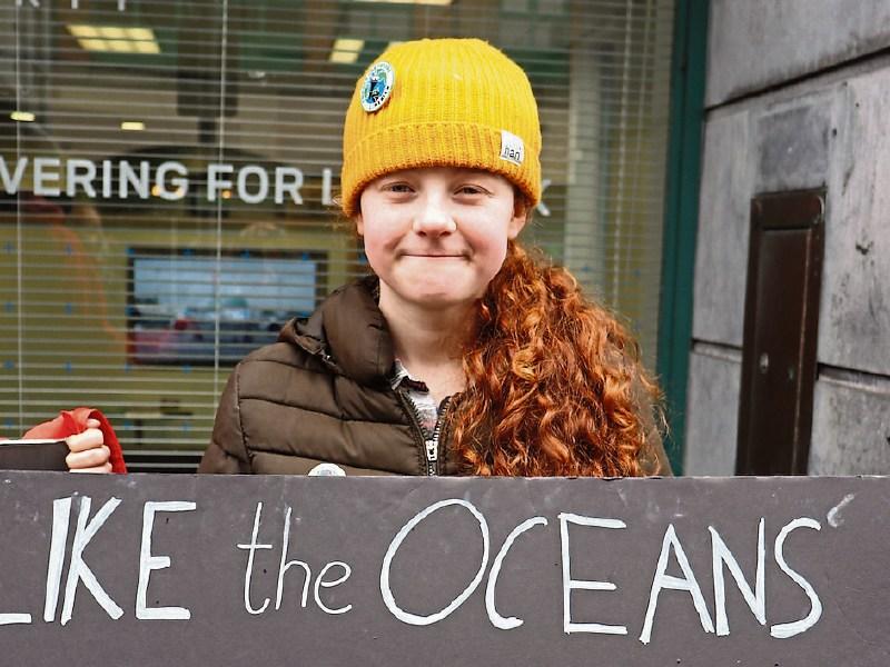 Limerick student selected to join UN special advisory group on climate change