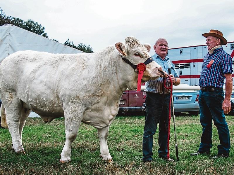 South East Clare Show may ban Limerick people in future due to their success!