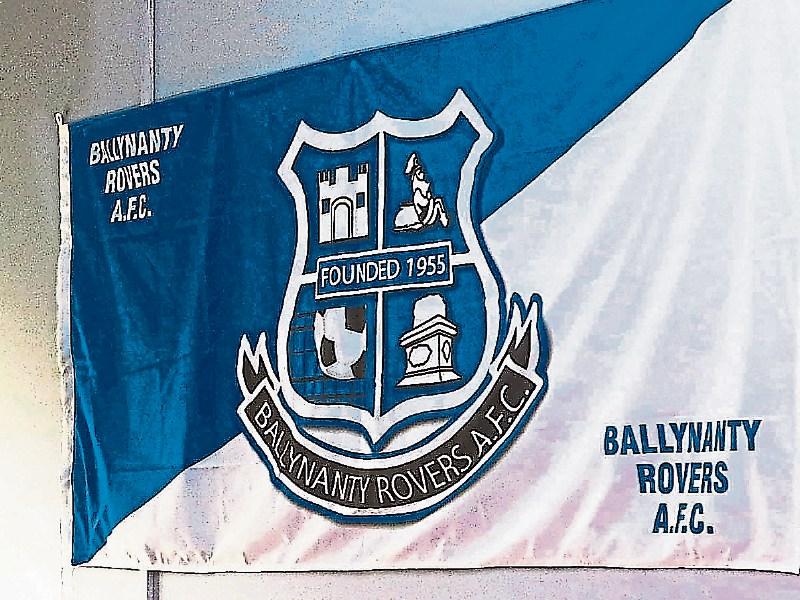 Council's safety concern about stray footballs on new Limerick road