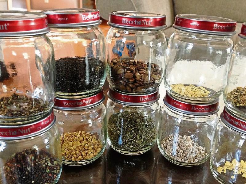 Green Fingers: Get saving and gather your own seed