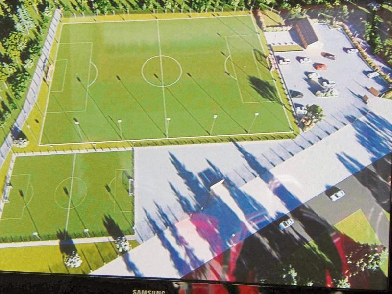 Further info sought  from Limerick club over ‘stray balls’
