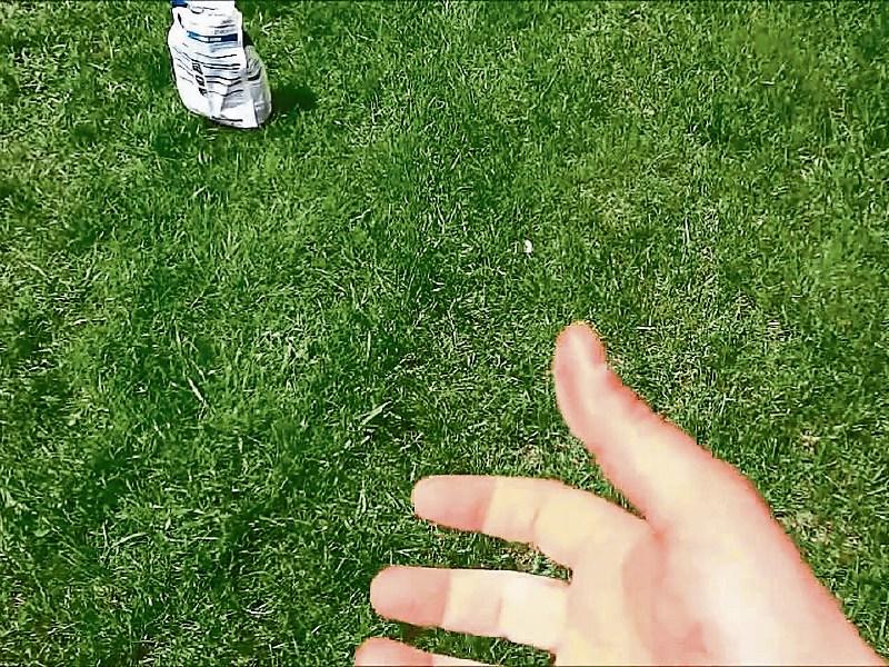 Green Fingers: September is time to fix your lawns