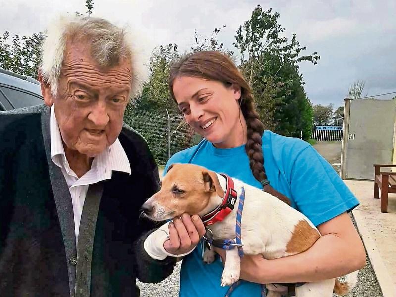 Joy as dog-napped pooch that was thrown out of moving car in Limerick is returned to owner
