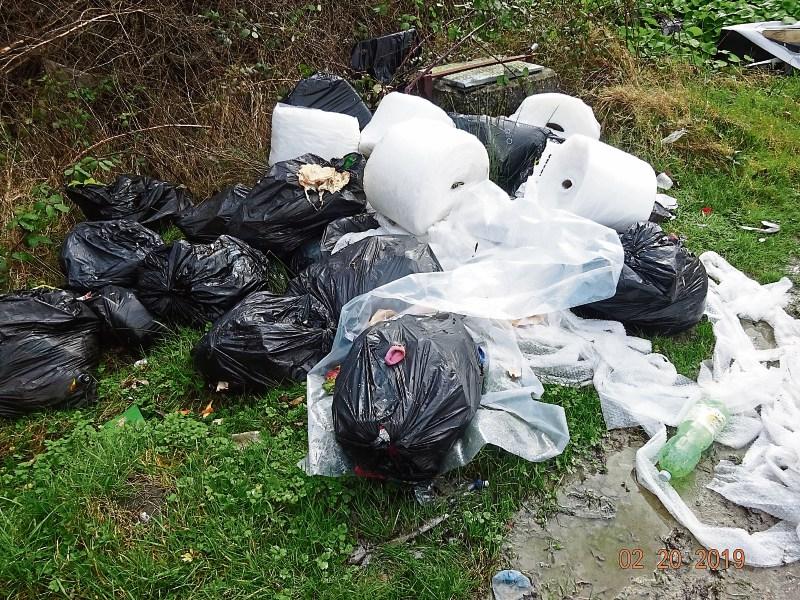 Judge aims to send message with €2,500 fine for illegal dumping in Co. Limerick town park  