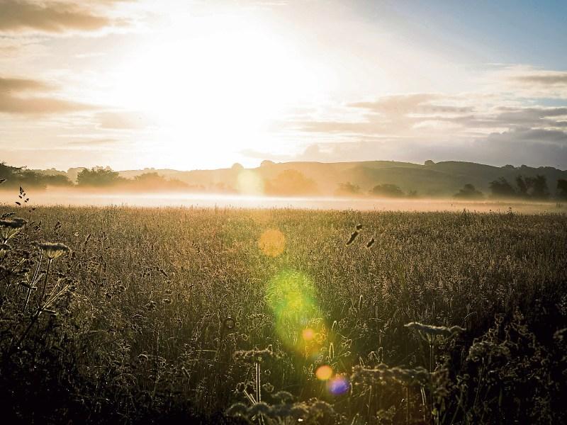 Temperatures set to hit 21 degrees in the week ahead