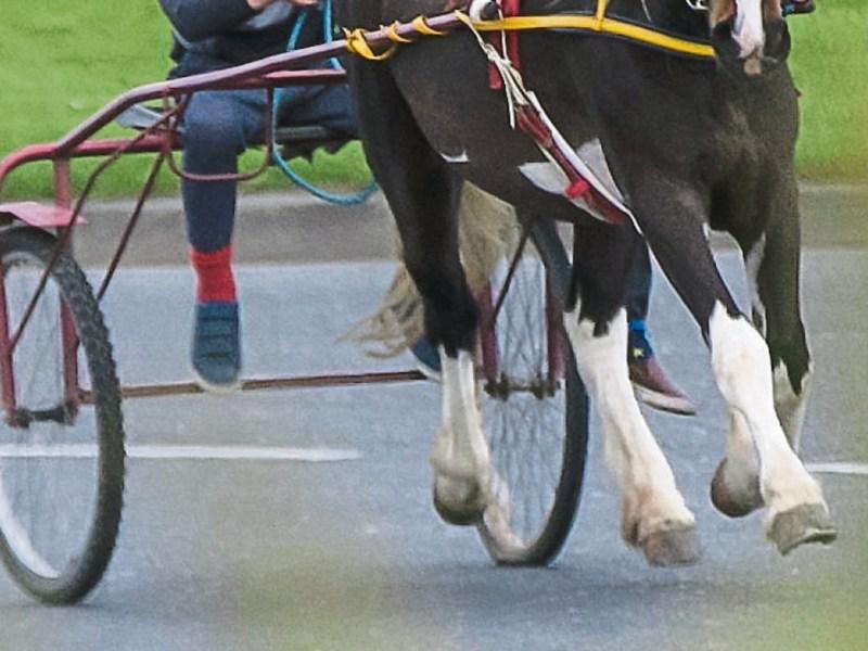 Gardai urged to rein in children on sulkies as Limerick town turns into ‘Wild West’