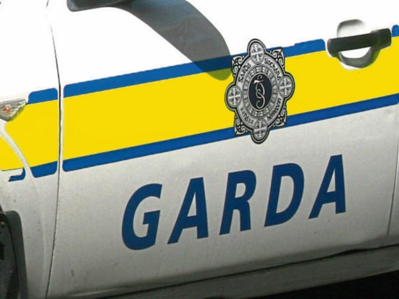 Domestic violence incidents in county Limerick district have doubled in a year, say gardai