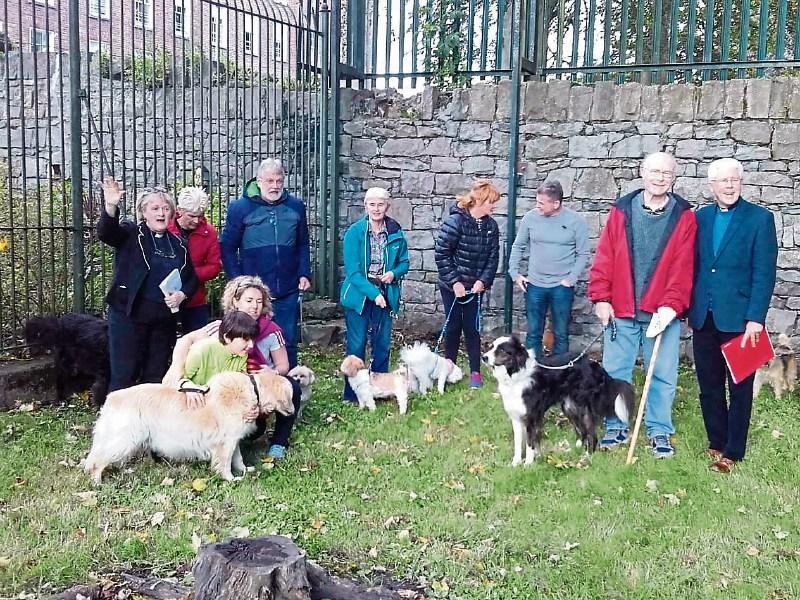 Oh my Dog! Blessed are the beloved pets in Limerick
