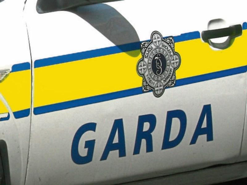 Criminal gangs showing advanced technical nous, says Limerick garda
