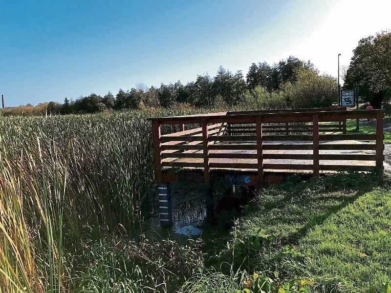 Council plans removal of reeds at Limerick’s Westfields Wetlands