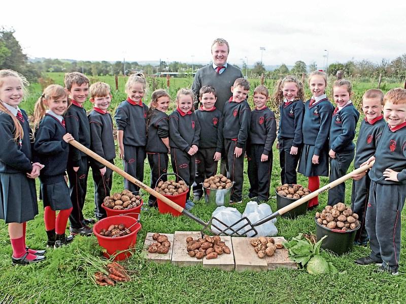 County Limerick pupils grow and carve their own pumpkins as Halloween looms