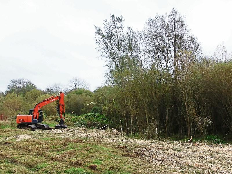 Down on the farm? Limerick suburb residents fight for green space as zoning row rumbles on    