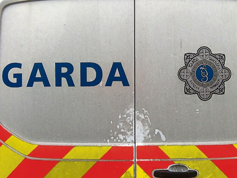 Limerick gardai make significant drugs seizure in public green area