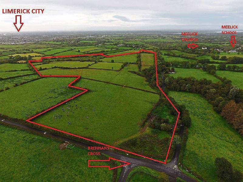 Possible Limerick business interest in farmland auction this Friday