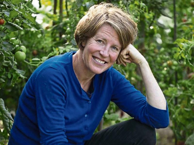 Film maker bringing a little food for thought to Limerick  