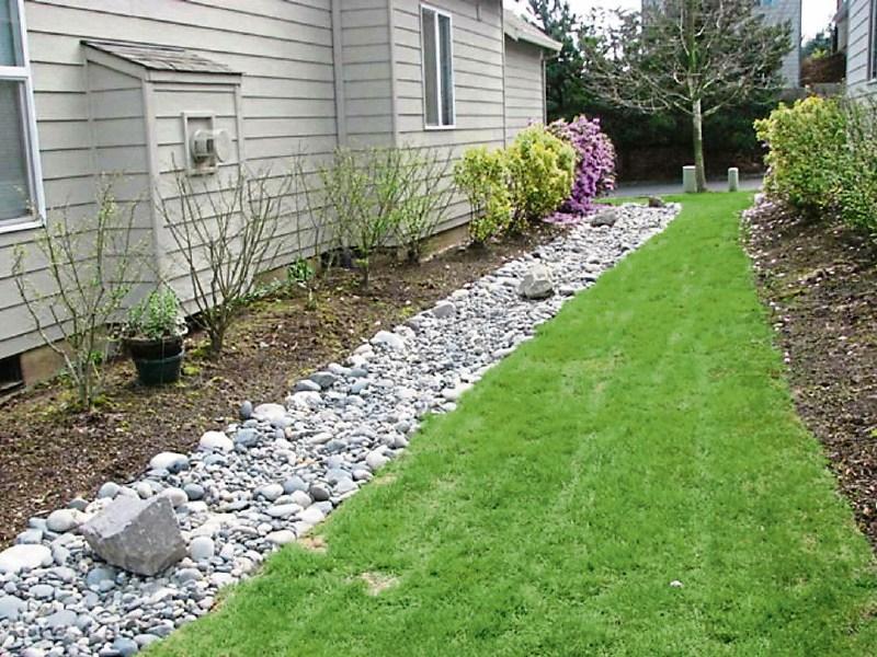 Green Fingers: Use French drains to dry your garden