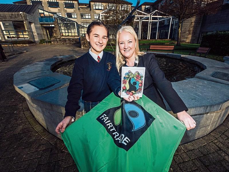 Christmas competition has a vital message in Limerick