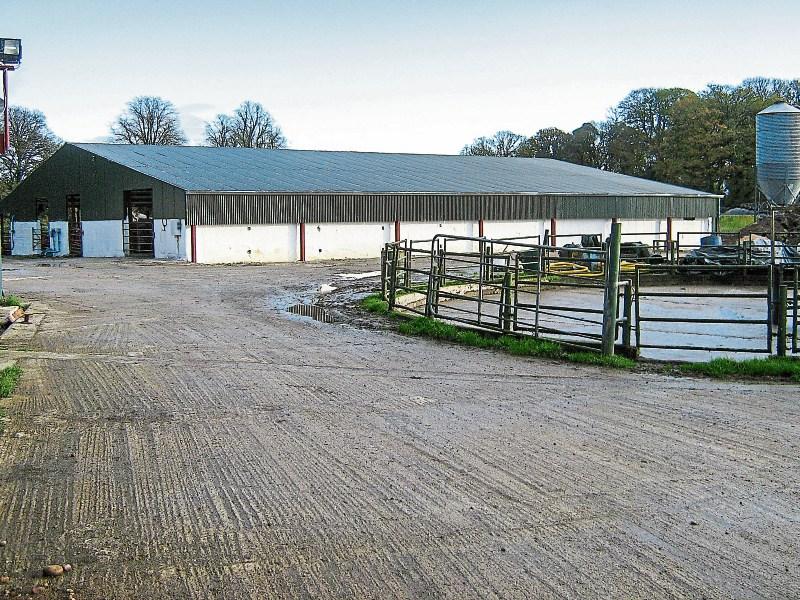 ‘God willing’ someone will take over lease from monks on Glenstal farm