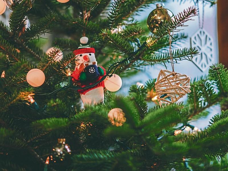 Gardai urge Limerick homeowners to leave fake presents under tree