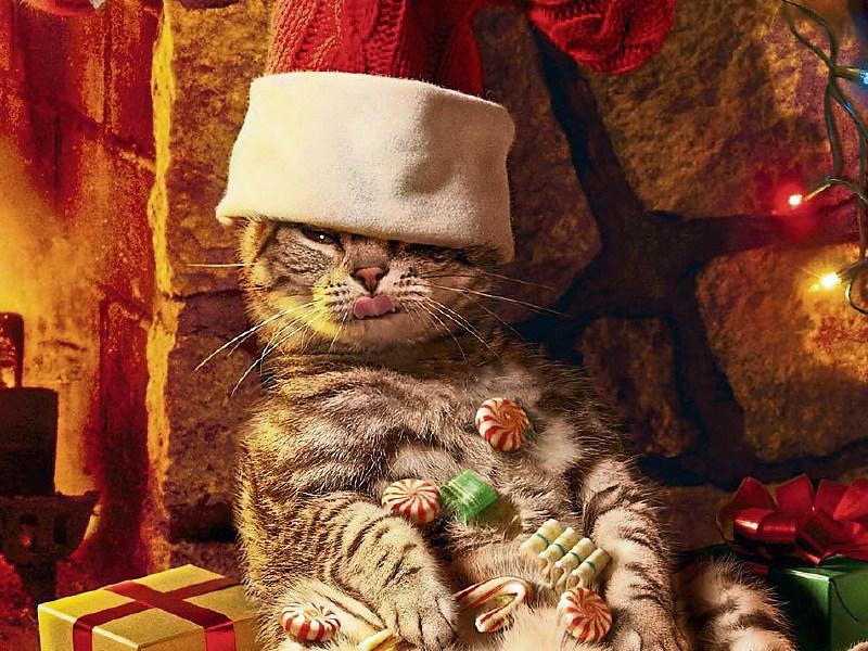‘Tis the season to overindulge