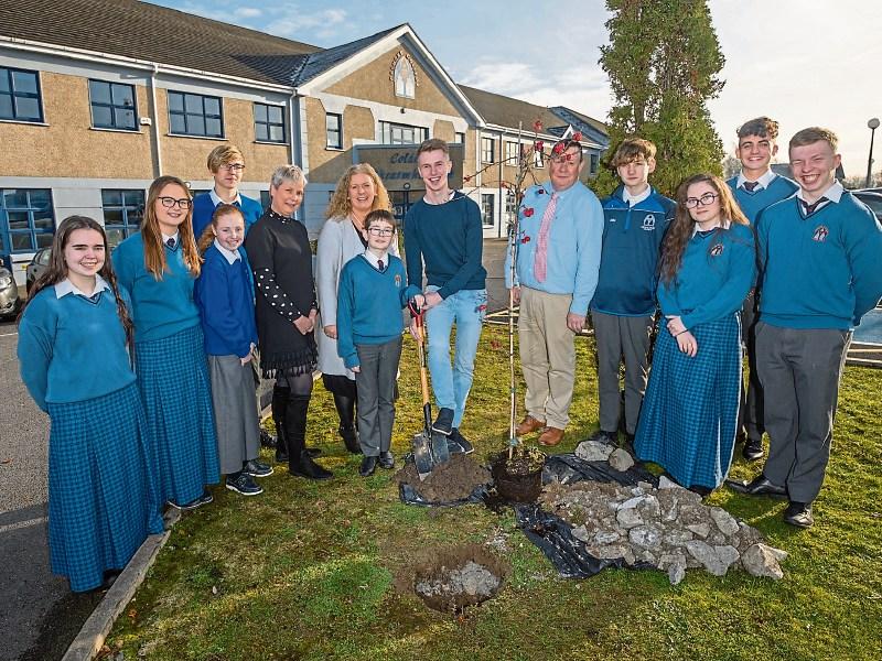 County Limerick school leading the way on sustainability