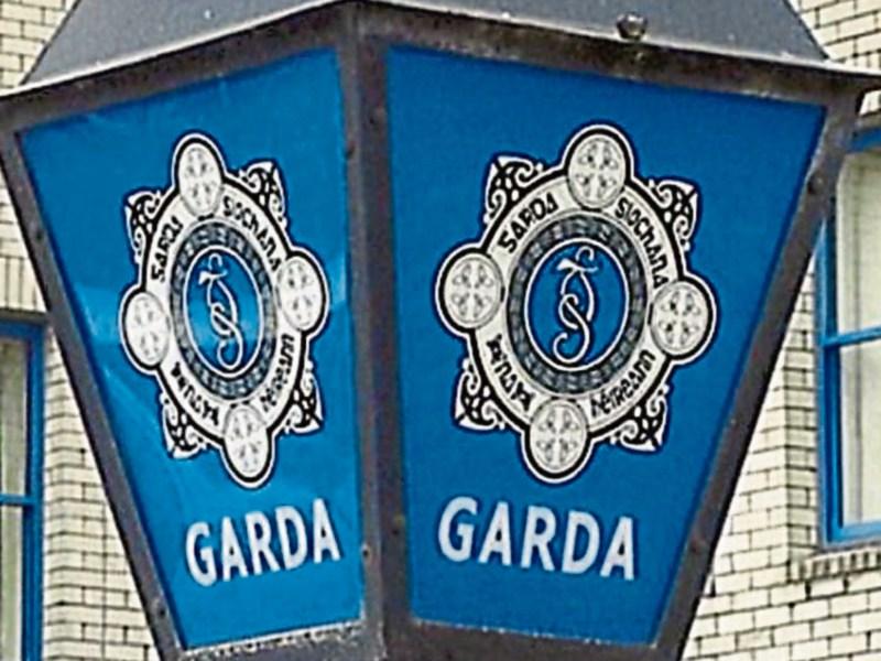 Unusual crime saw burglar wedge open car door in Limerick