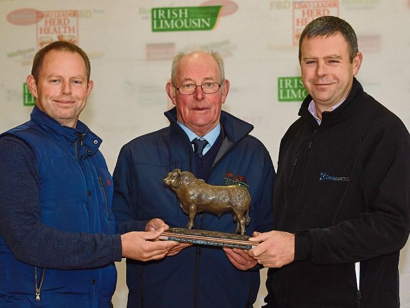 Limousin society honours a Rolls Royce of a Limerick farmer