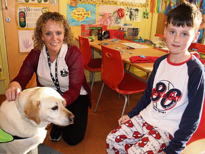 Therapy dog Bonnie makes her rounds at Limerick hospital