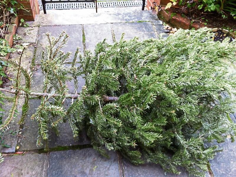 Limerick householders urged to recycle their Christmas trees