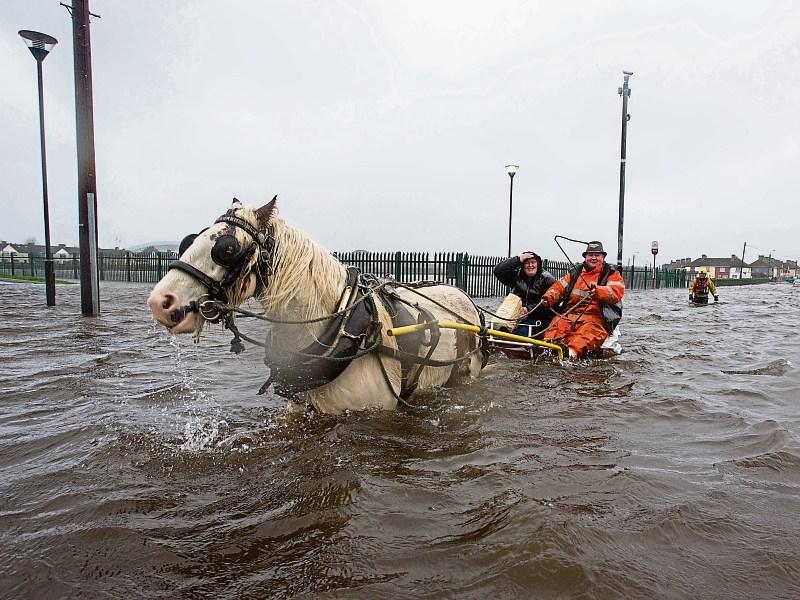 Planning application submitted for €20 million flood defences in Limerick