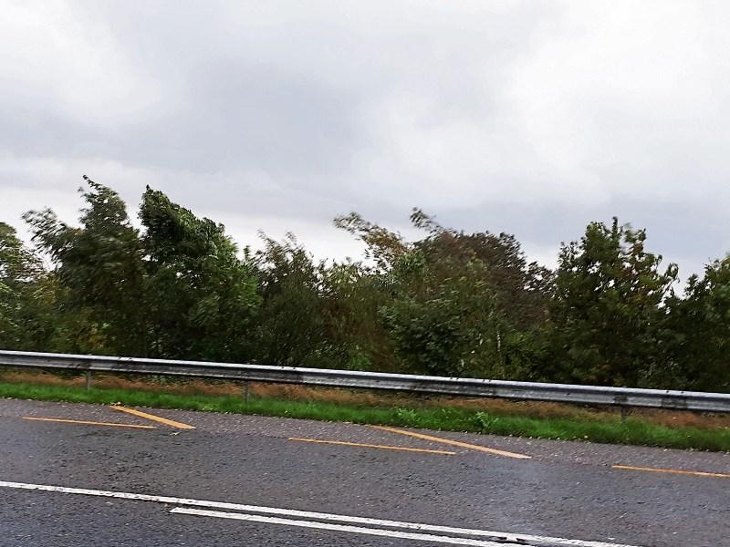 Caution advised as Storm Brendan arrives in Limerick
