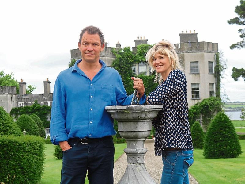 Taste the history:  summer event proposed for lavish Limerick castle