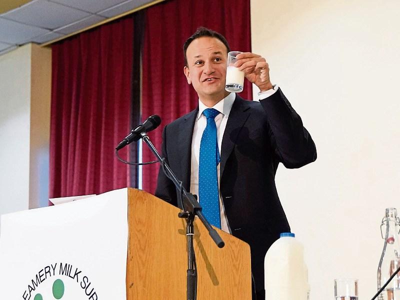 BREAKING: Limerick to go to polls on February 8 as Taoiseach sets date for general election