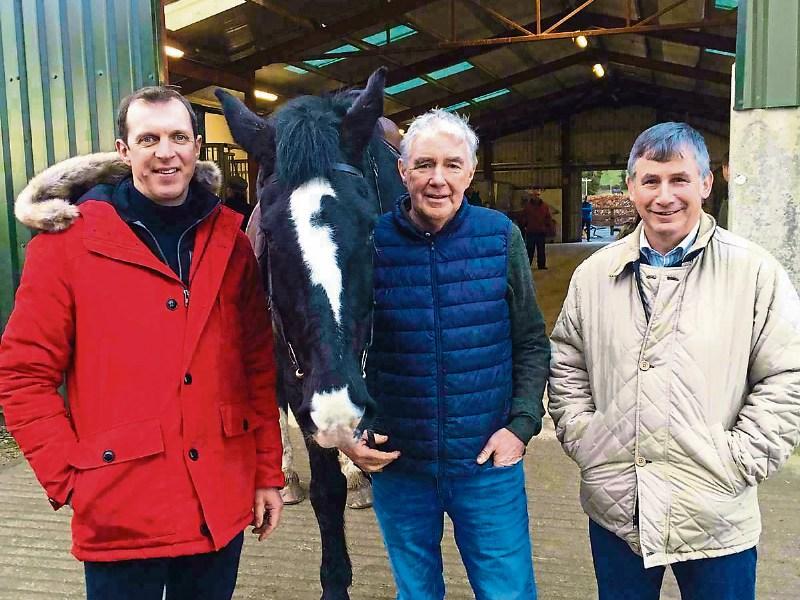 Limerick farm gets spotlight feature on RTE documentary