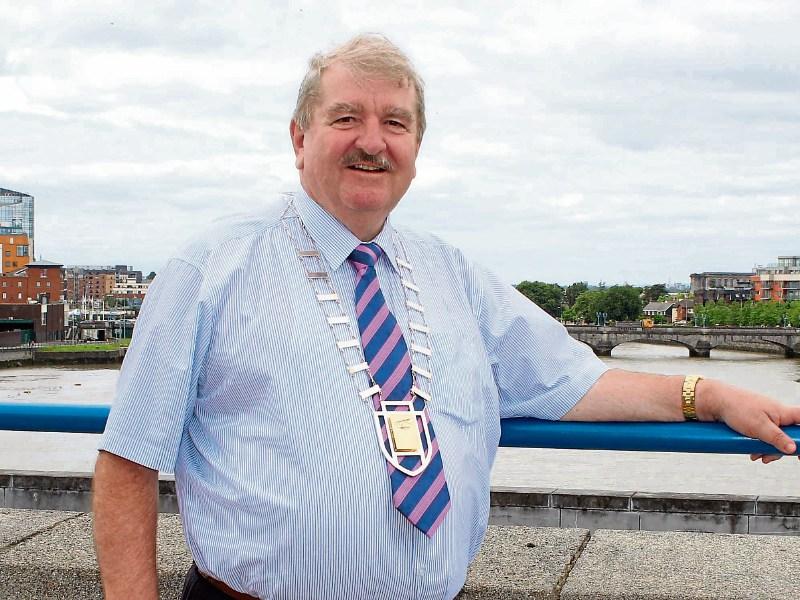 Councillors &lsquo;shocked&rsquo; at condition of County Limerick library